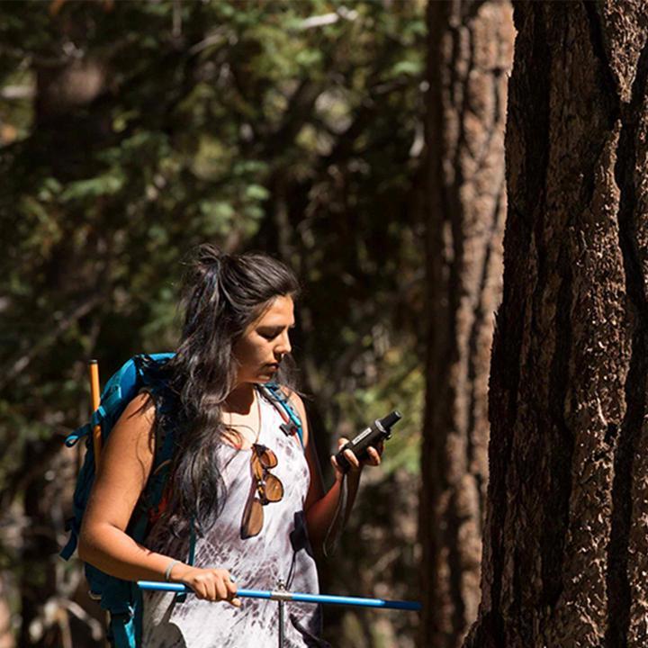 Media card - summer science research student in wilderness