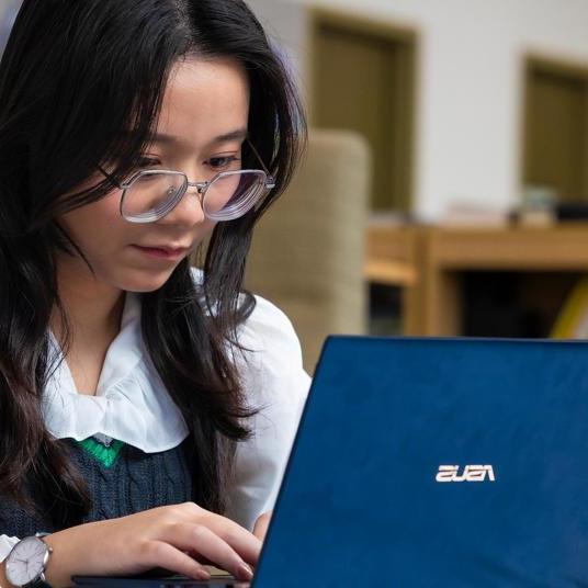 Horizontal tab - Student looking at career resources on her laptop